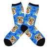 Blue socks with yellow lab dogs wearing science goggles, next to beakers and math symbols, photographed flat lay.