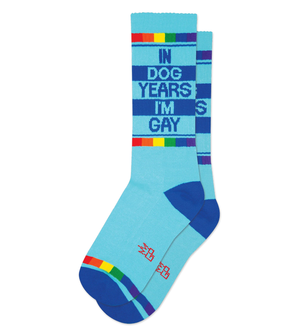 Blue socks featuring dark blue and rainbow stripes, with text reading "IN DOG YEARS I'M GAY"
