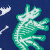 close up photo of white dinosaur skeleton socks with green shadows on a blue background