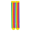 Vertical rainbow striped cotton women's over the knee socks with a yellow toe and cuff.