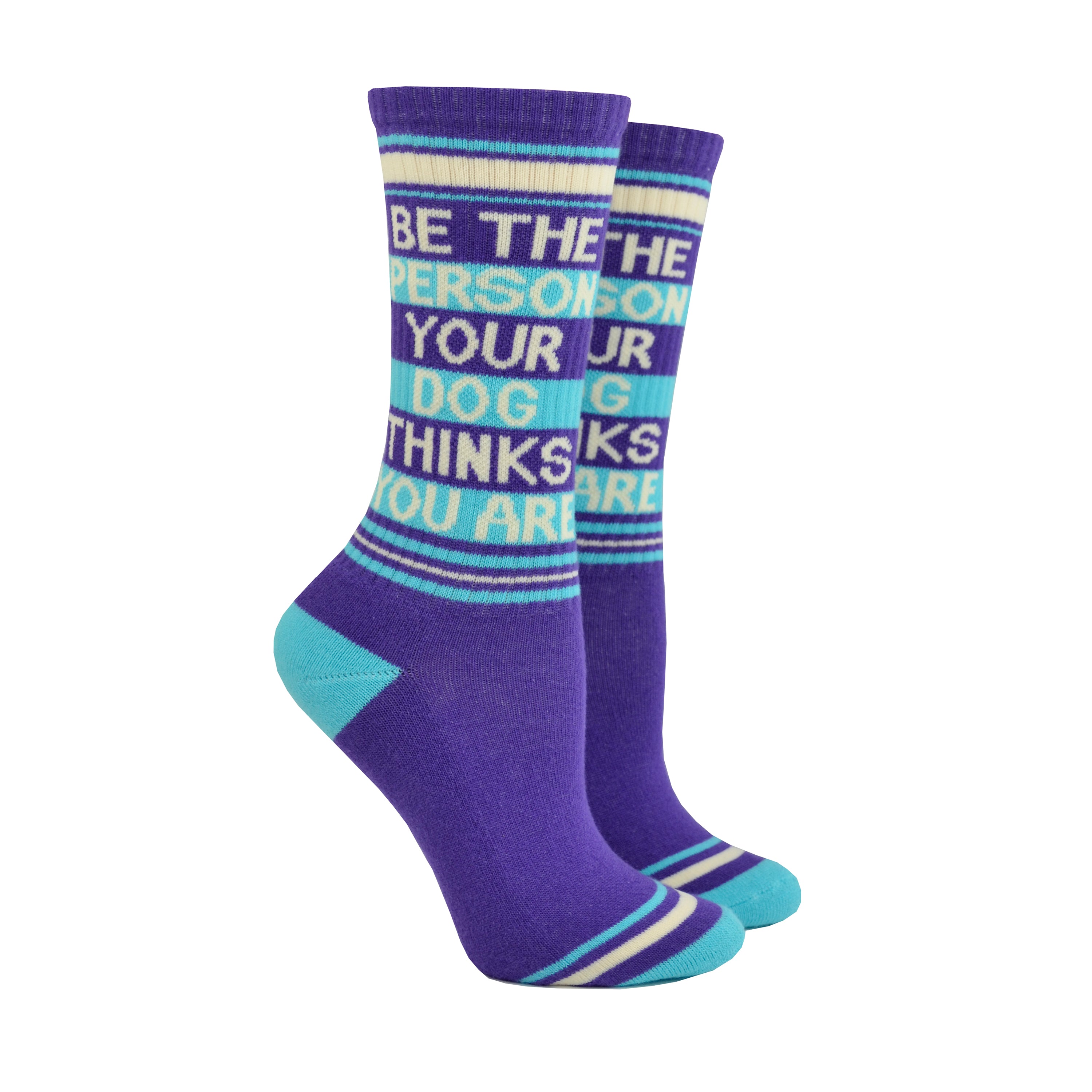 Shown on leg forms, a pair of Gumball Poodle brand unisex cotton crew sock in purple with cream and blue stripes around the leg and a blue heel and toe. On the side of the sock in cream lettering it says, 