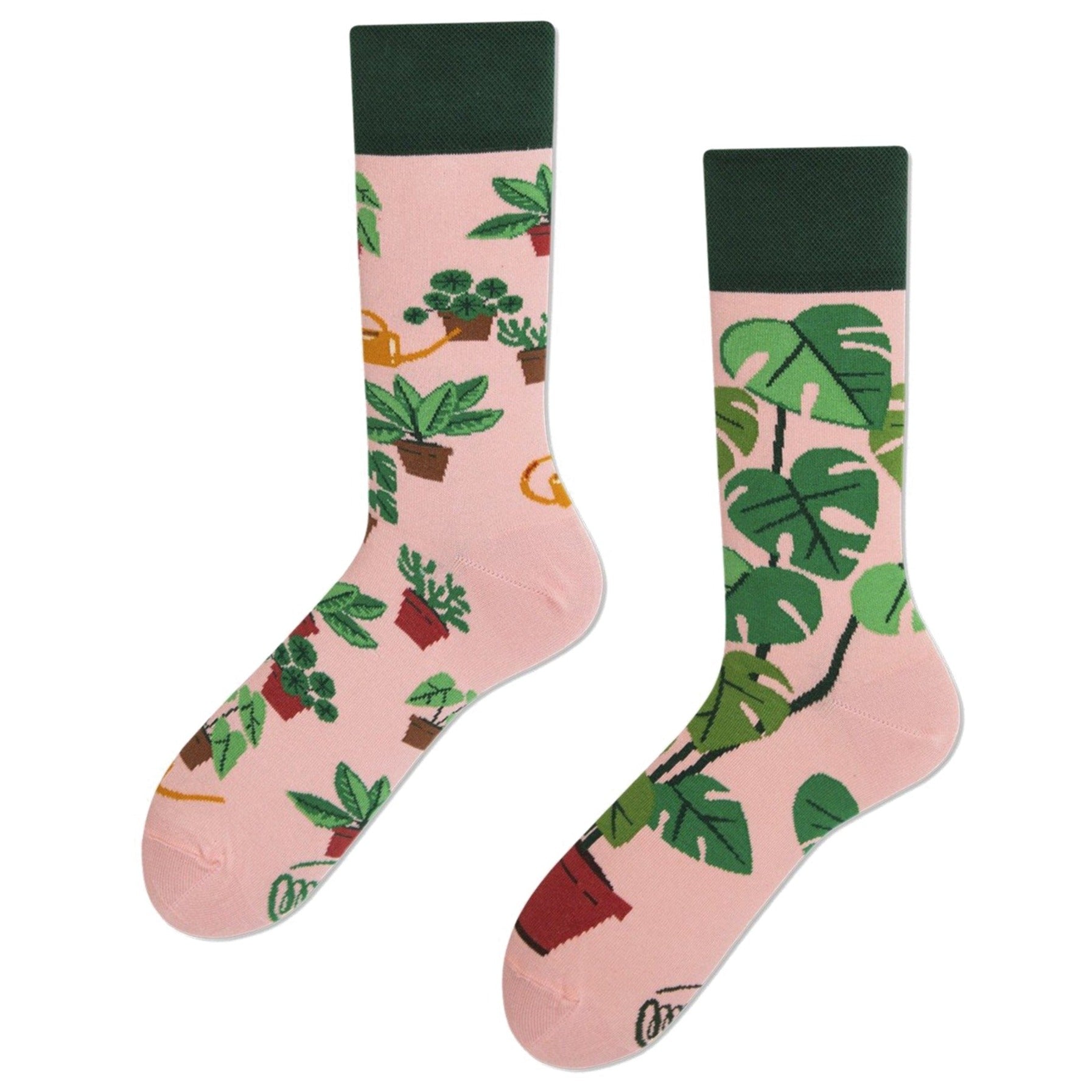 Shown in a flatlay, these pink cotton mis-matched women's crew socks with a green cuff by the brand Many Mornings feature beautiful potted Monstera plants and succulents all over the foot and leg.