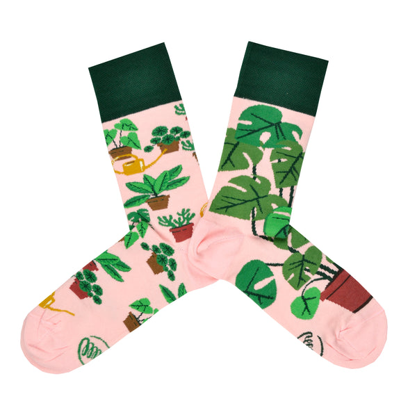 These pink cotton mis-matched women's crew socks with a green cuff by the brand Many Mornings feature beautiful potted Monstera plants and succulents all over the foot and leg.