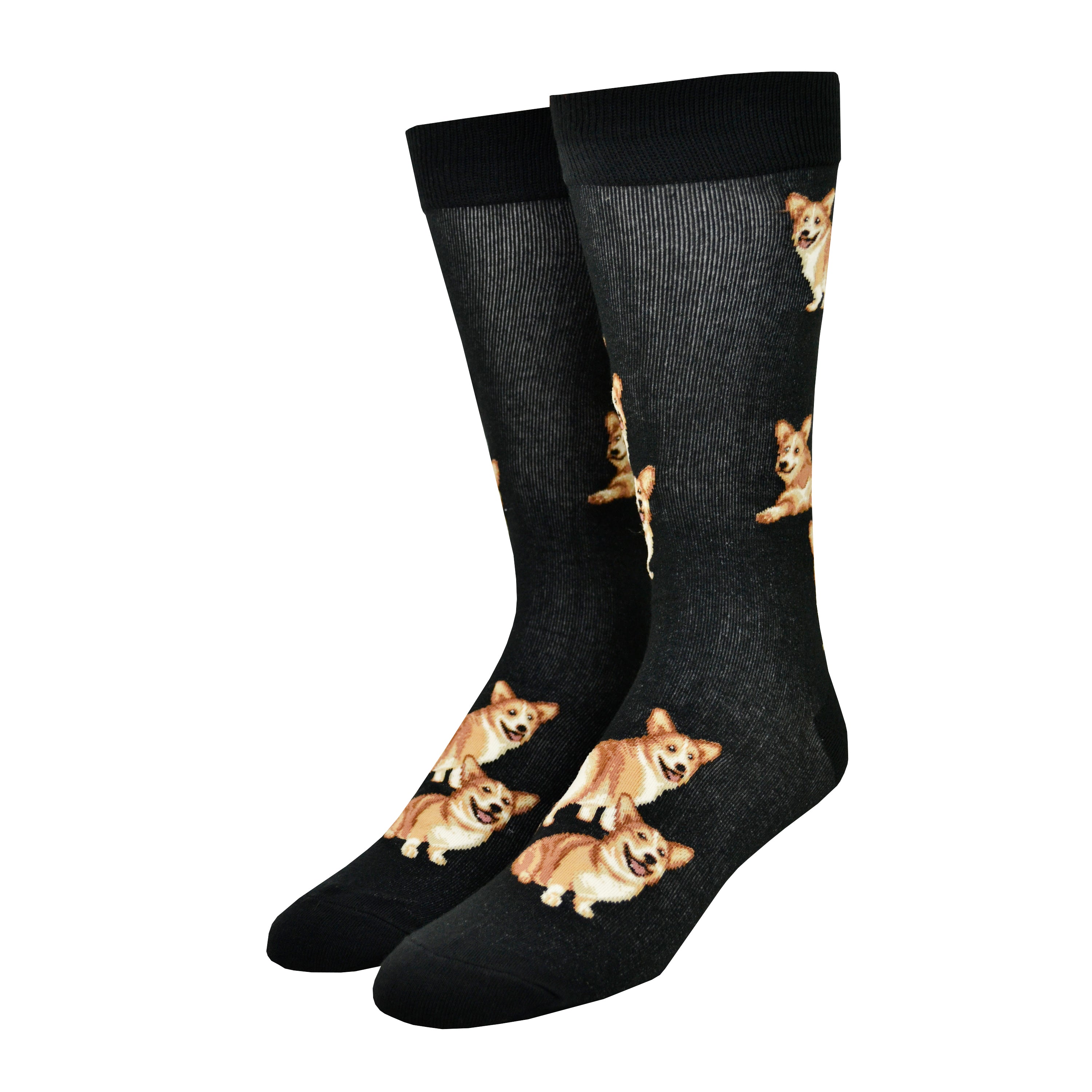 Shown on a leg form, these black cotton men's fun novelty crew socks by the brand Mod Socks feature adorable Corgi dogs smiling, sitting down and some standing up showing their cute butts.