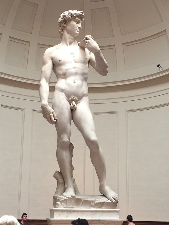 Photo of Statue of David by Michelangelo in Florence, Italy